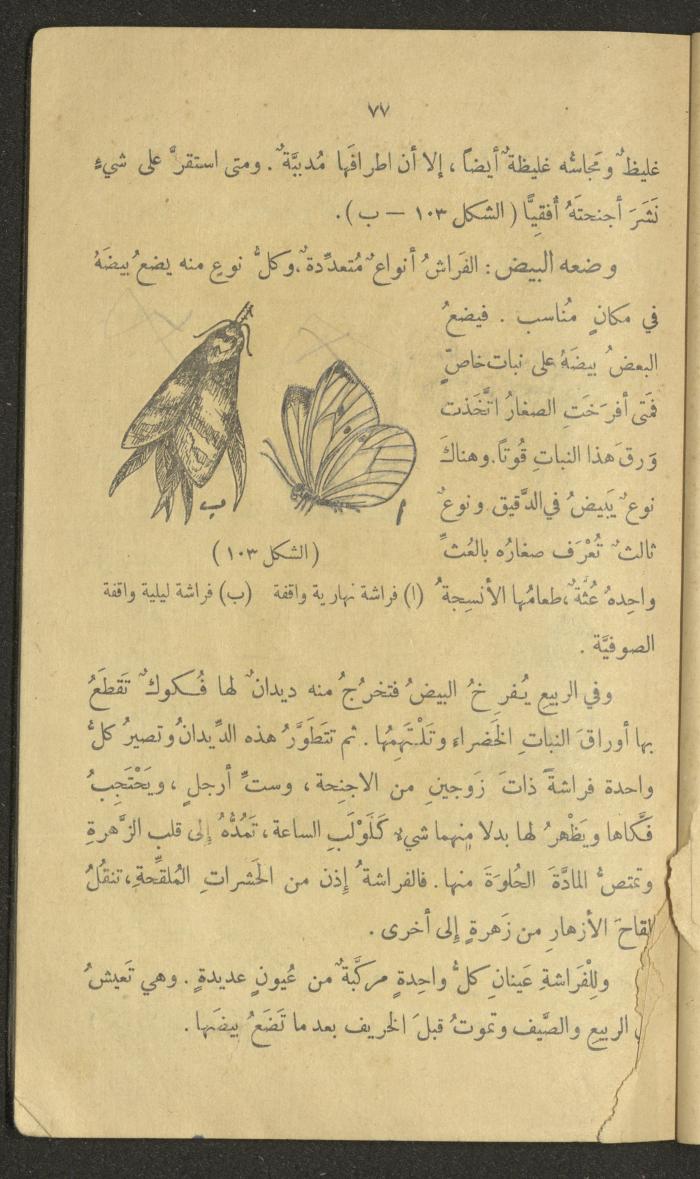 Volume III of the Book 