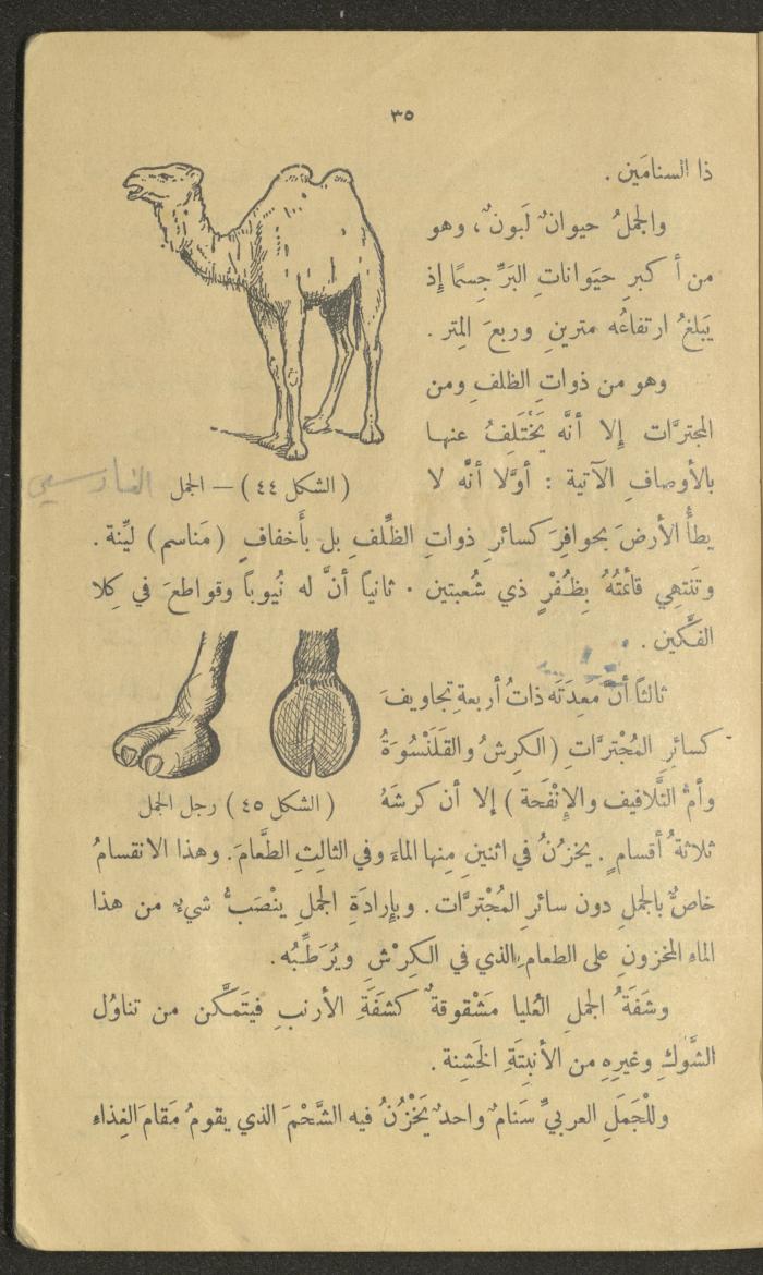 Volume III of the Book 