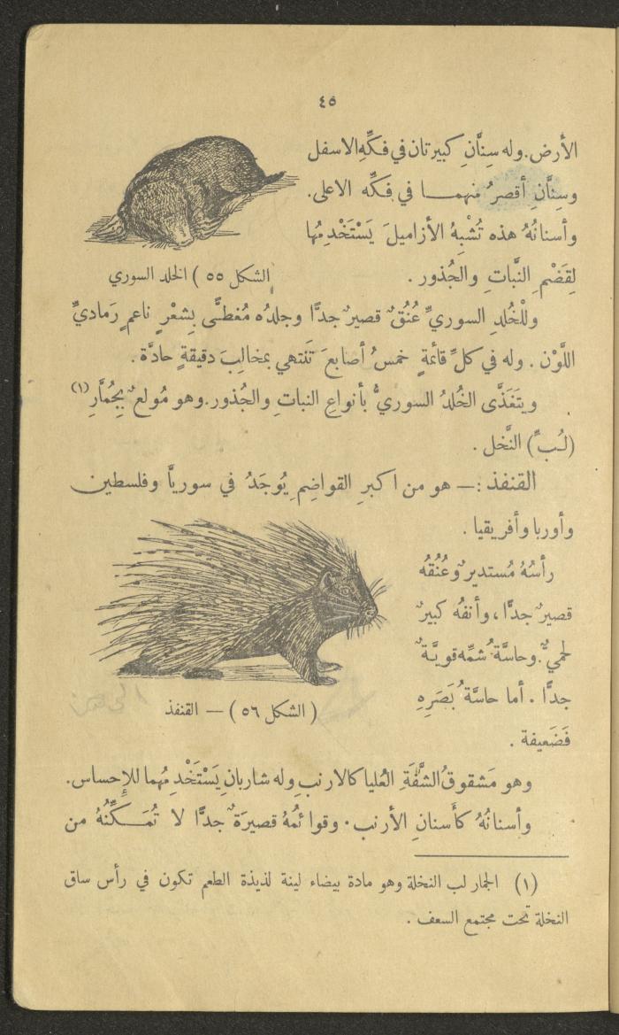 Volume III of the Book 