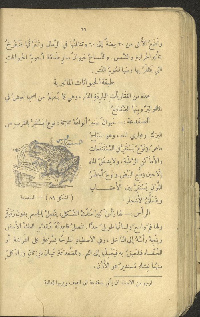Volume III of the Book 