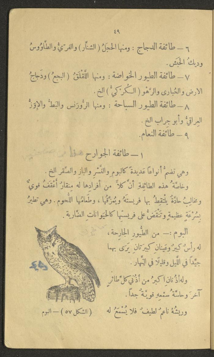 Volume III of the Book 