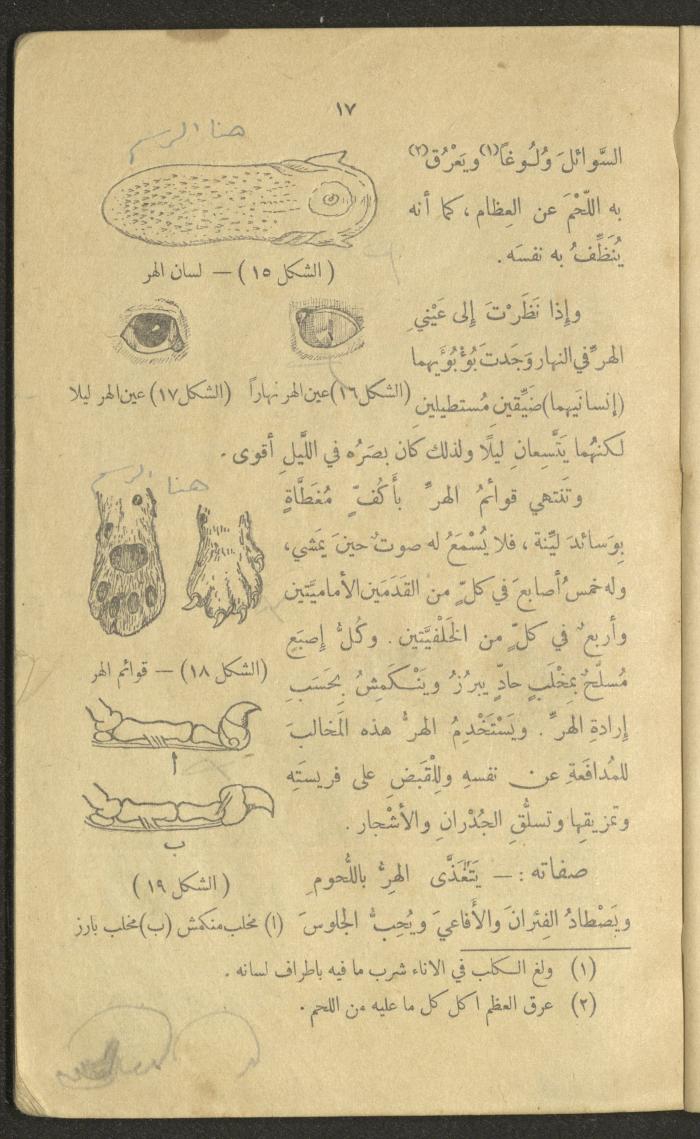 Volume III of the Book 
