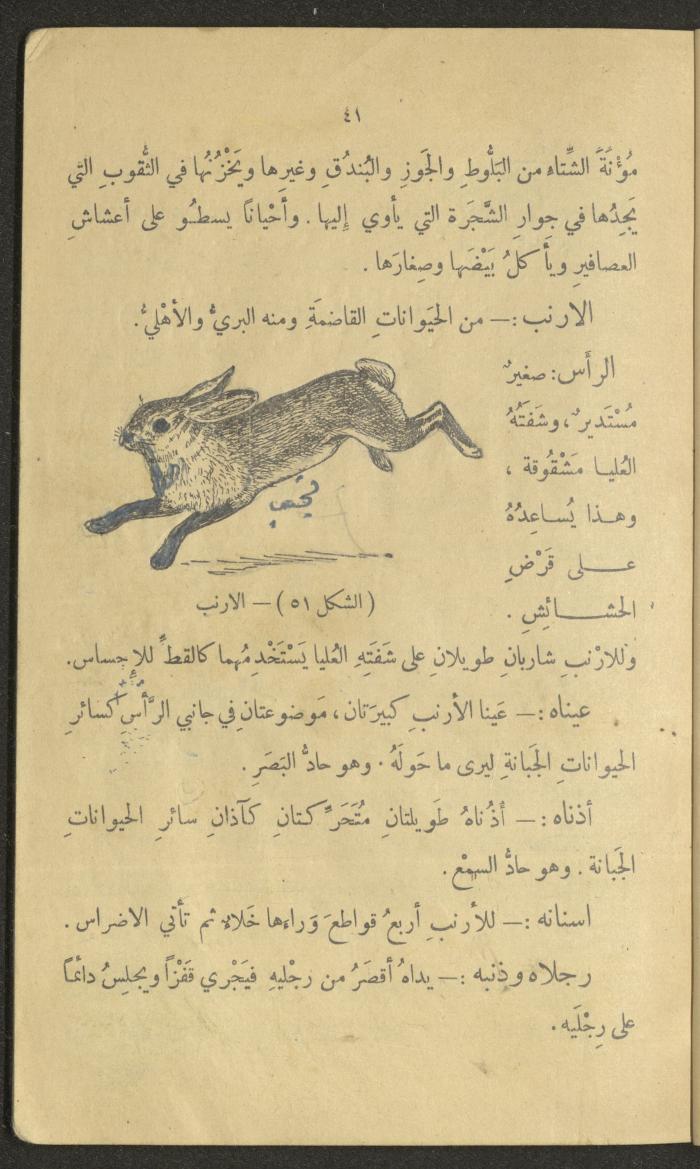 Volume III of the Book 