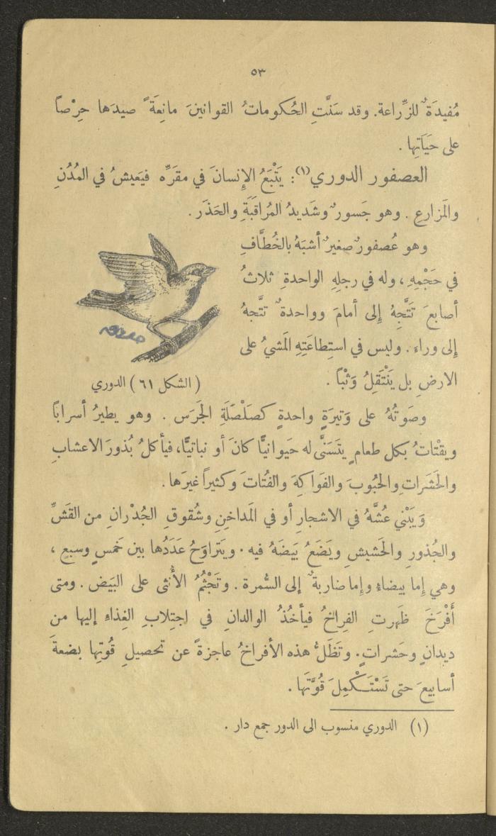 Volume III of the Book 