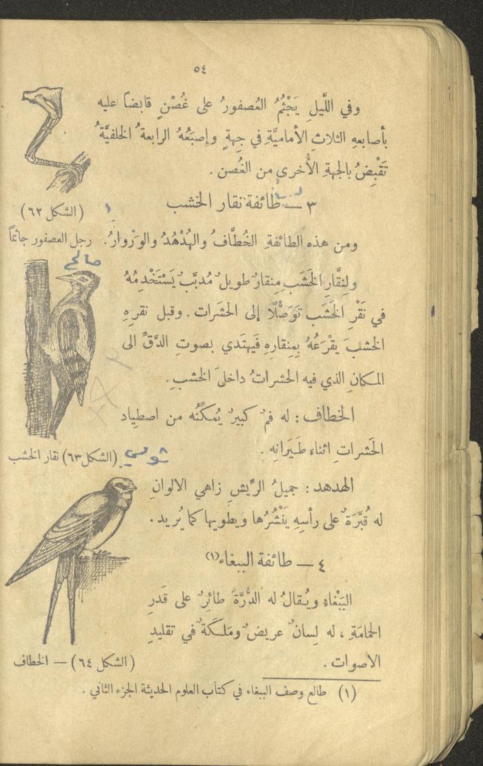 Volume III of the Book 
