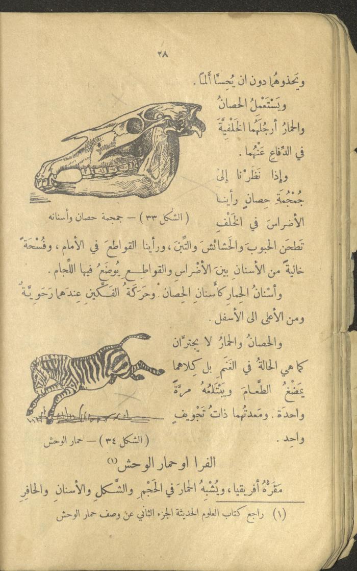 Volume III of the Book 