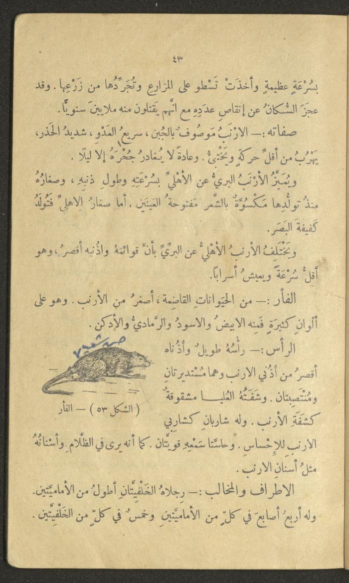 Volume III of the Book 