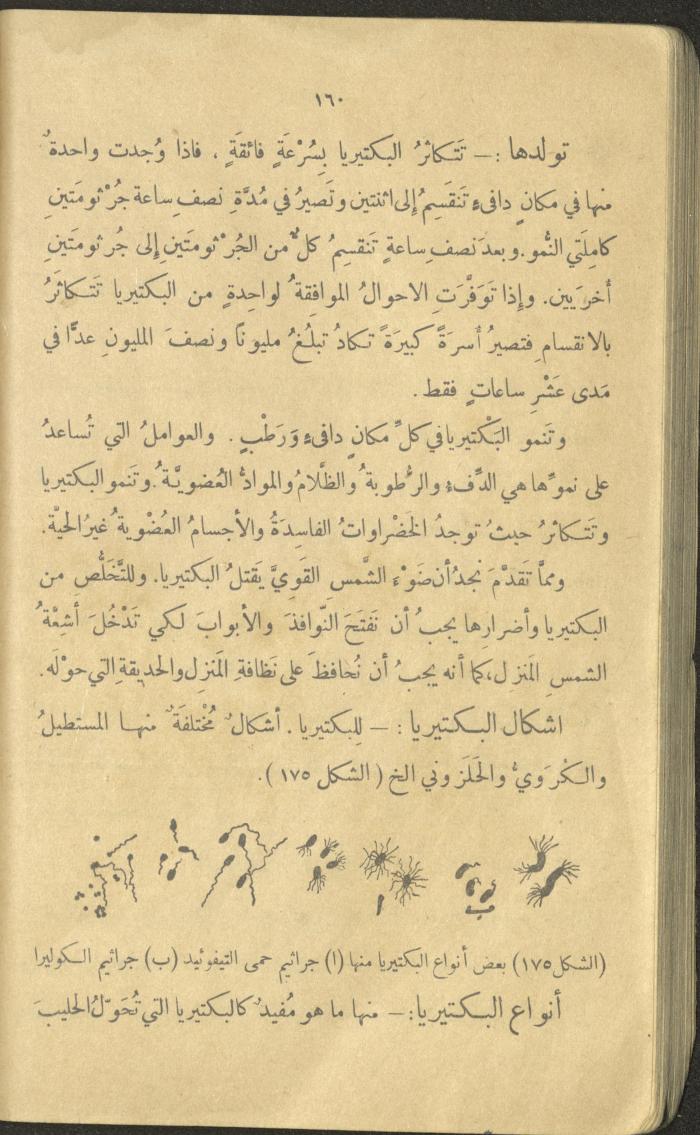 Volume III of the Book 