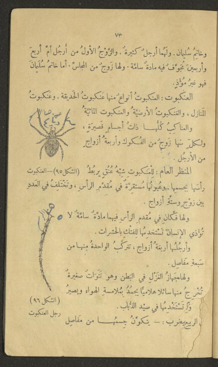 Volume III of the Book 