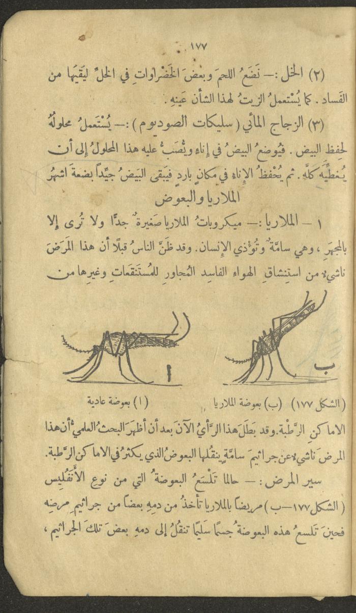 Volume III of the Book 