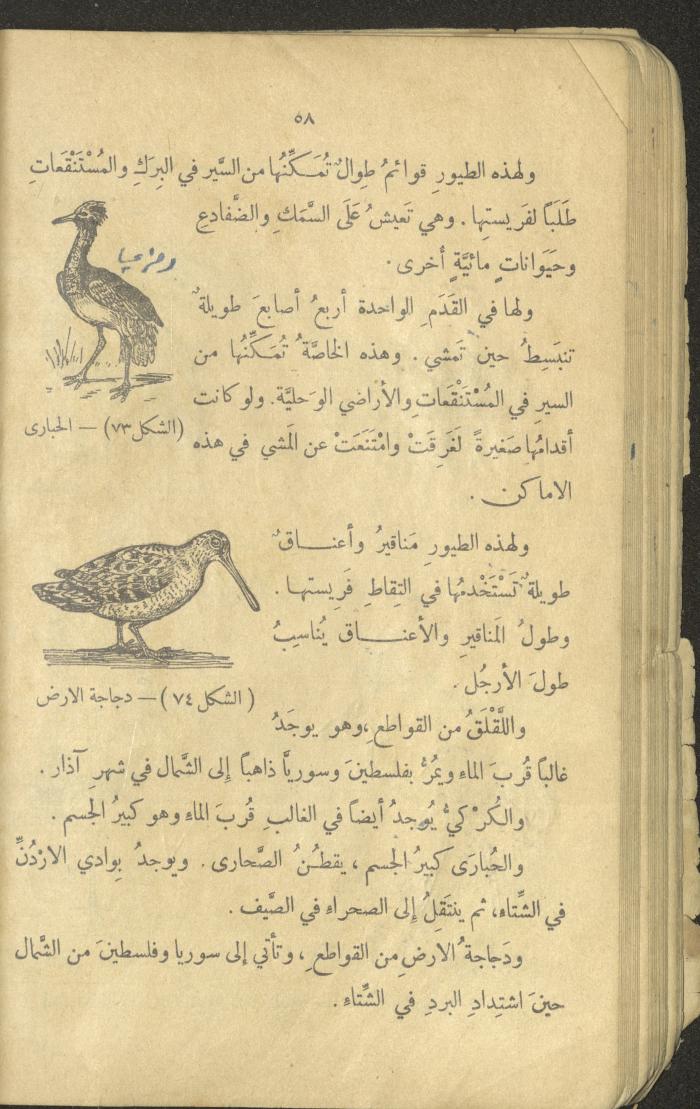 Volume III of the Book 