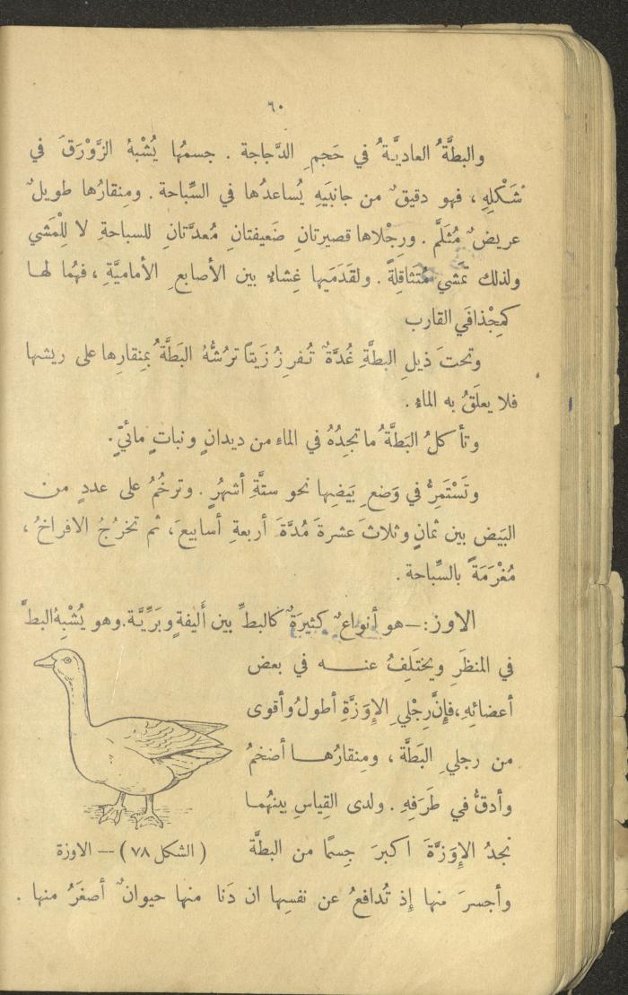Volume III of the Book 