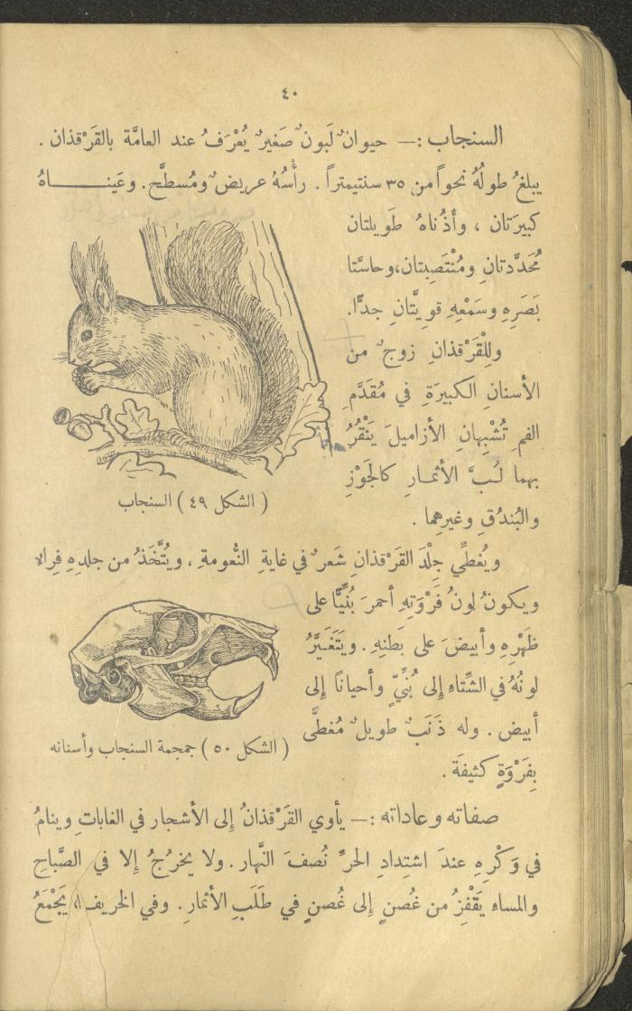 Volume III of the Book 