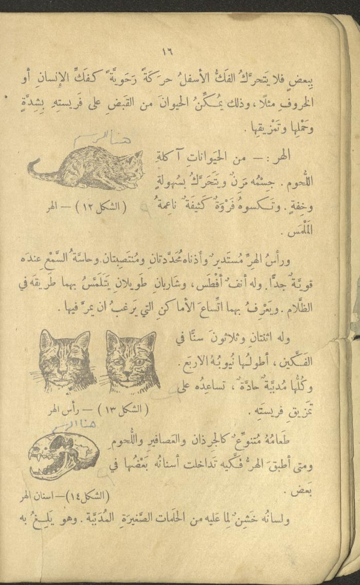 Volume III of the Book 