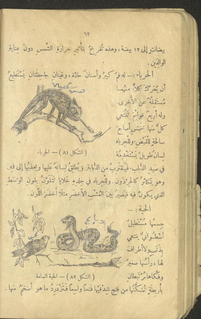 Volume III of the Book 