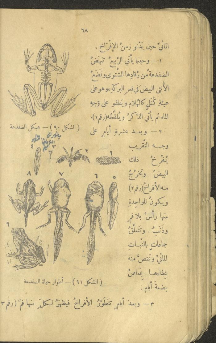 Volume III of the Book 