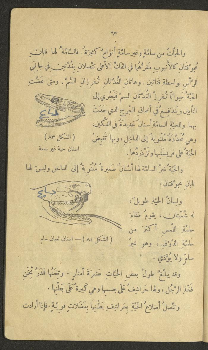 Volume III of the Book 