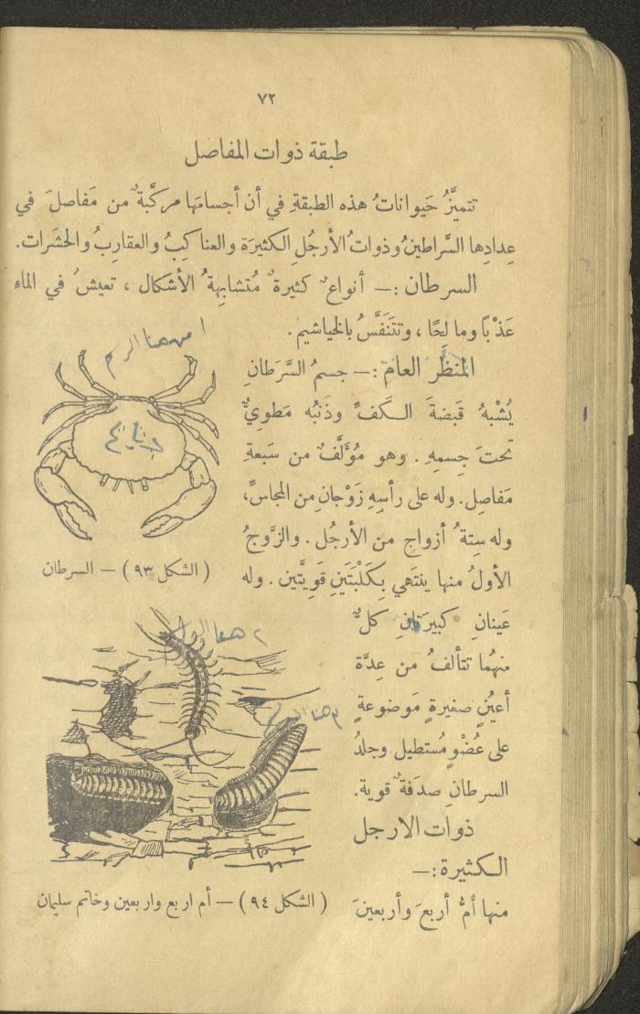 Volume III of the Book 