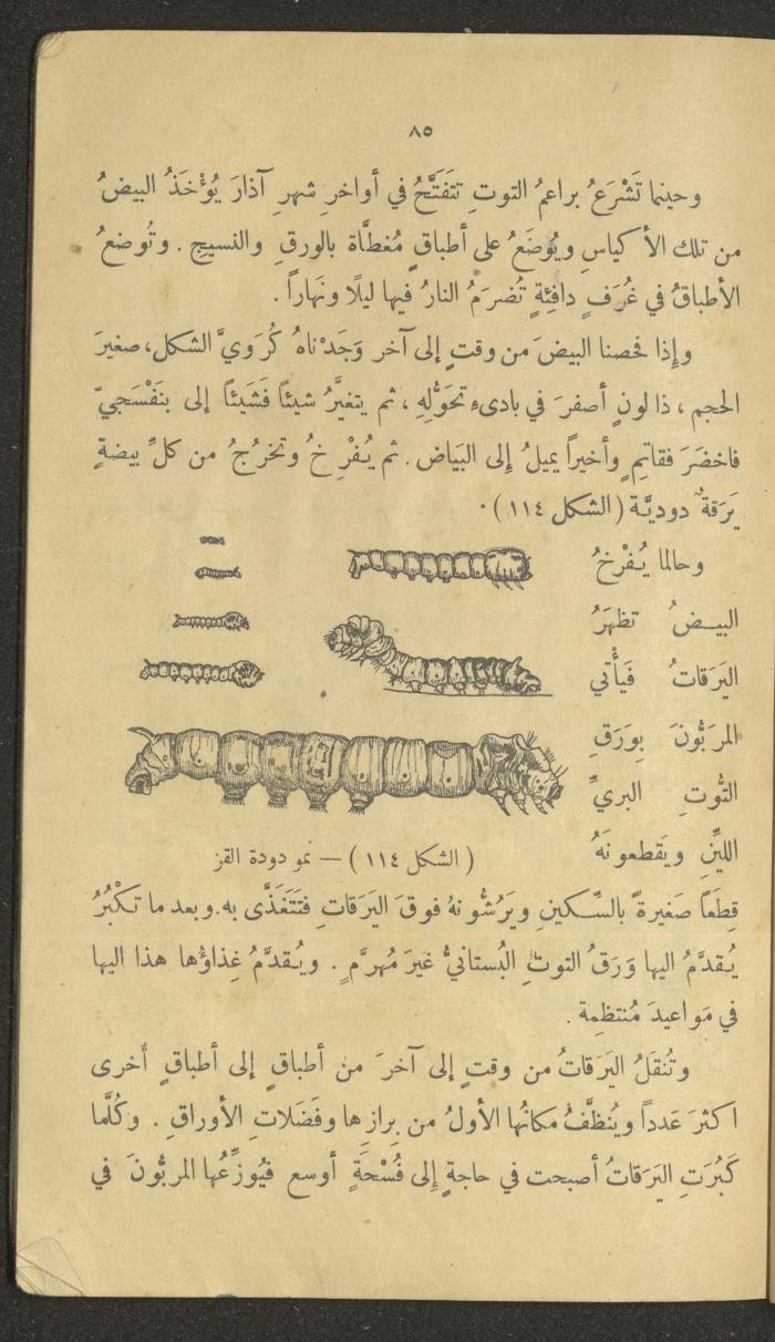 Volume III of the Book 
