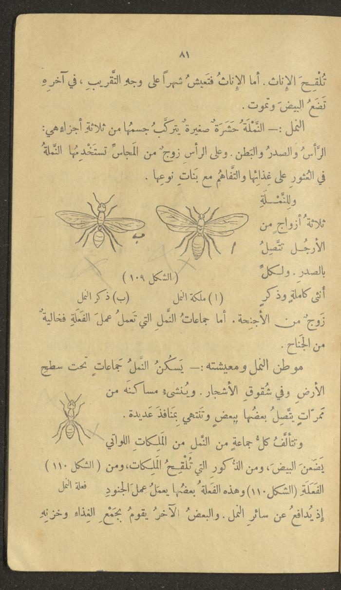 Volume III of the Book 