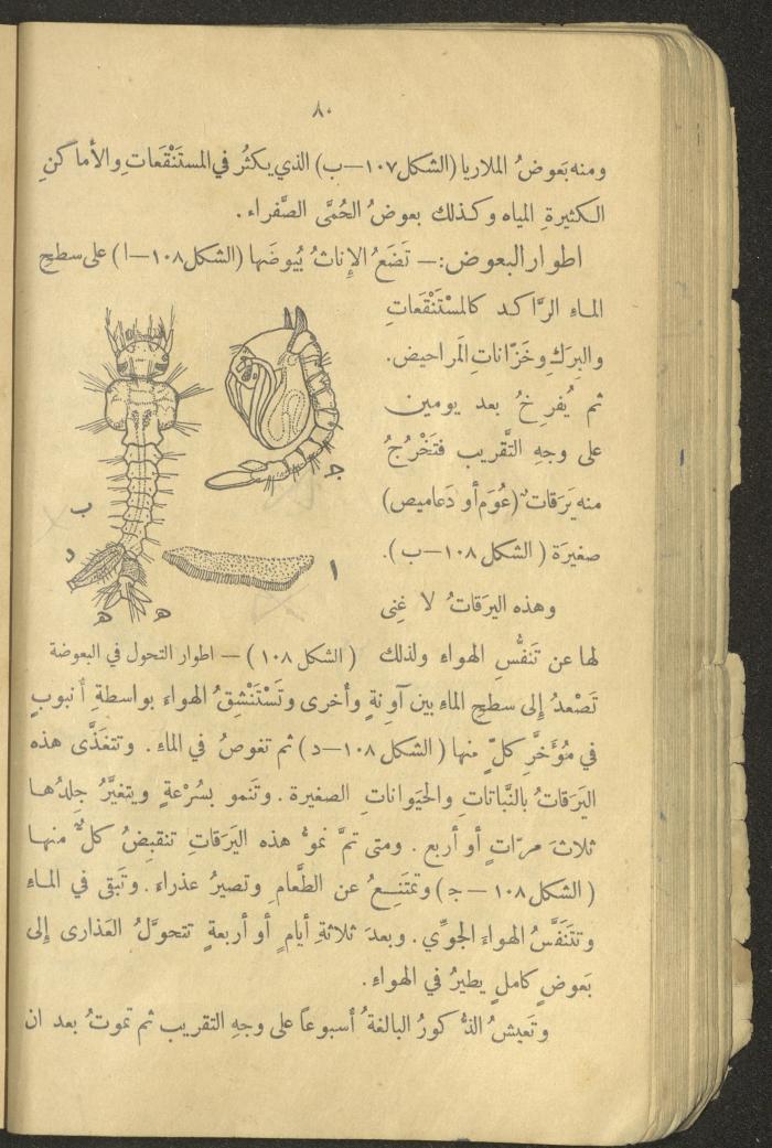 Volume III of the Book 
