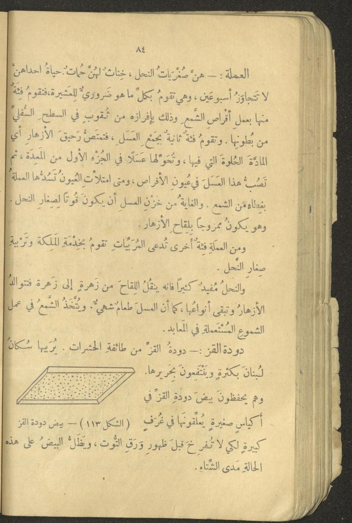 Volume III of the Book 