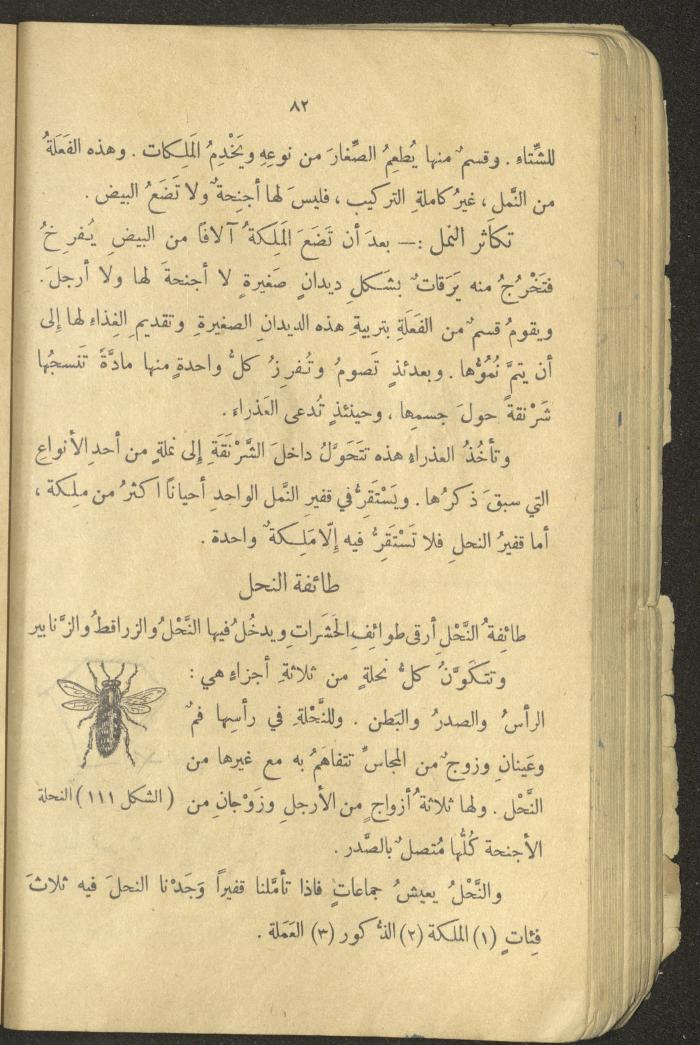 Volume III of the Book 