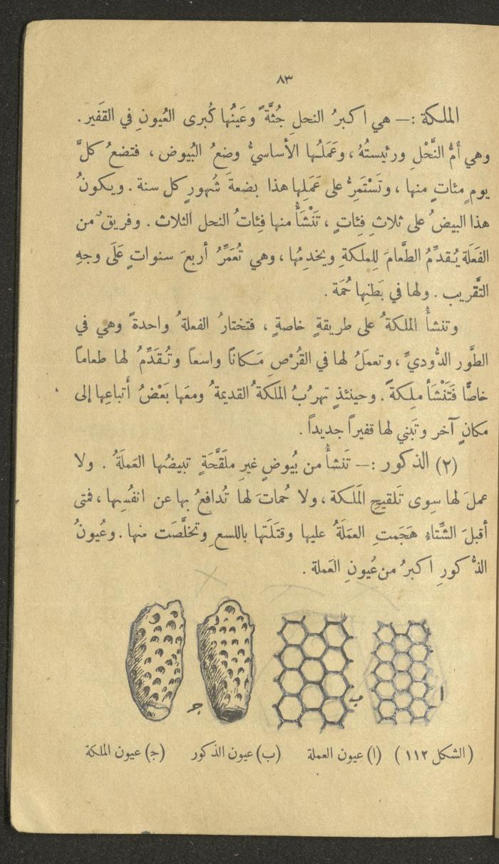 Volume III of the Book 