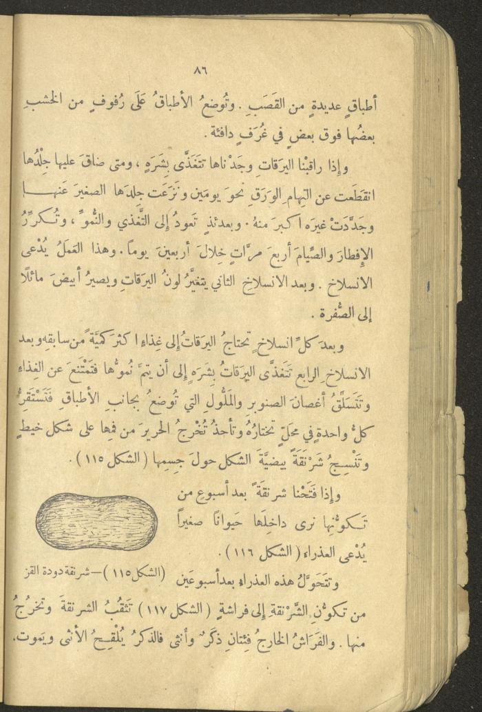Volume III of the Book 