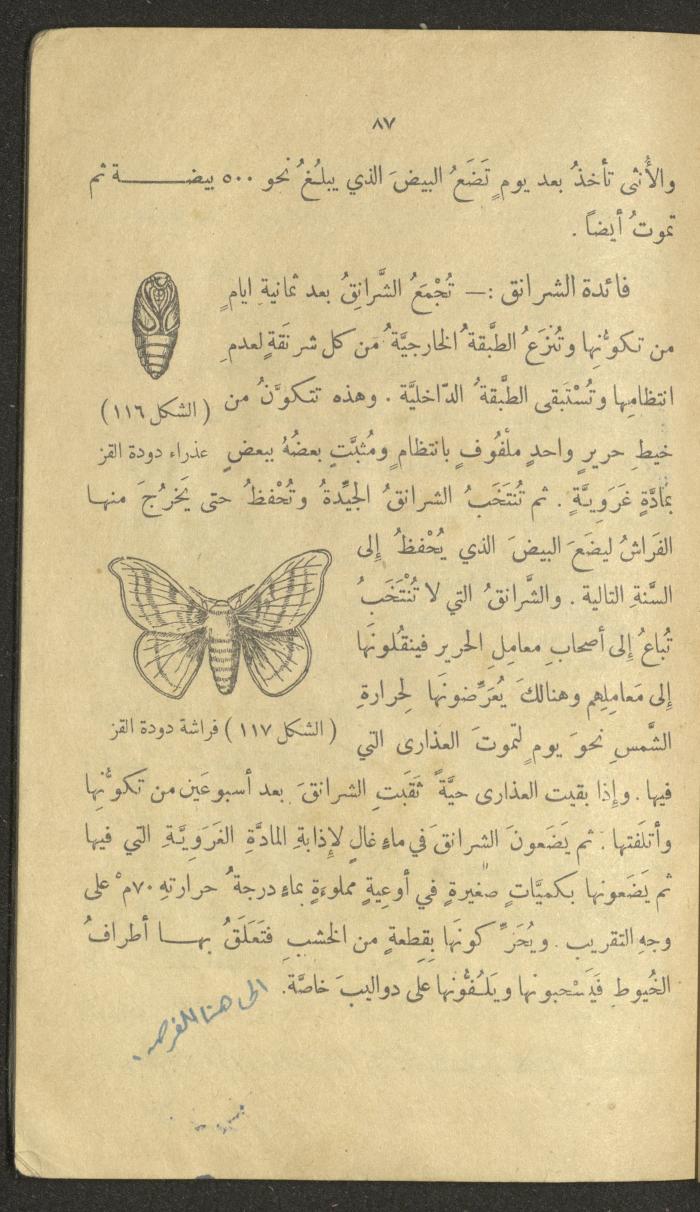 Volume III of the Book 