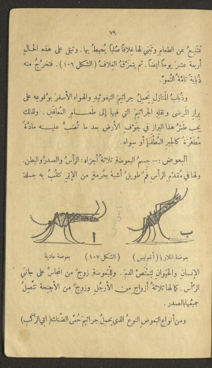 Volume III of the Book 