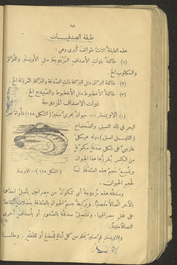 Volume III of the Book 