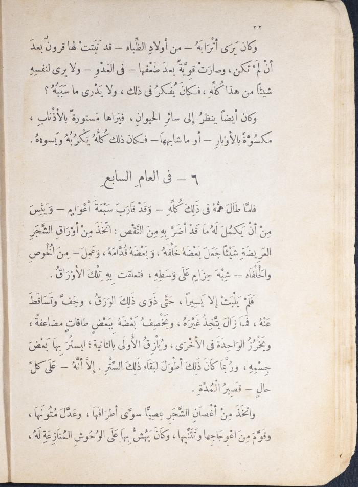 Part of the Novel 