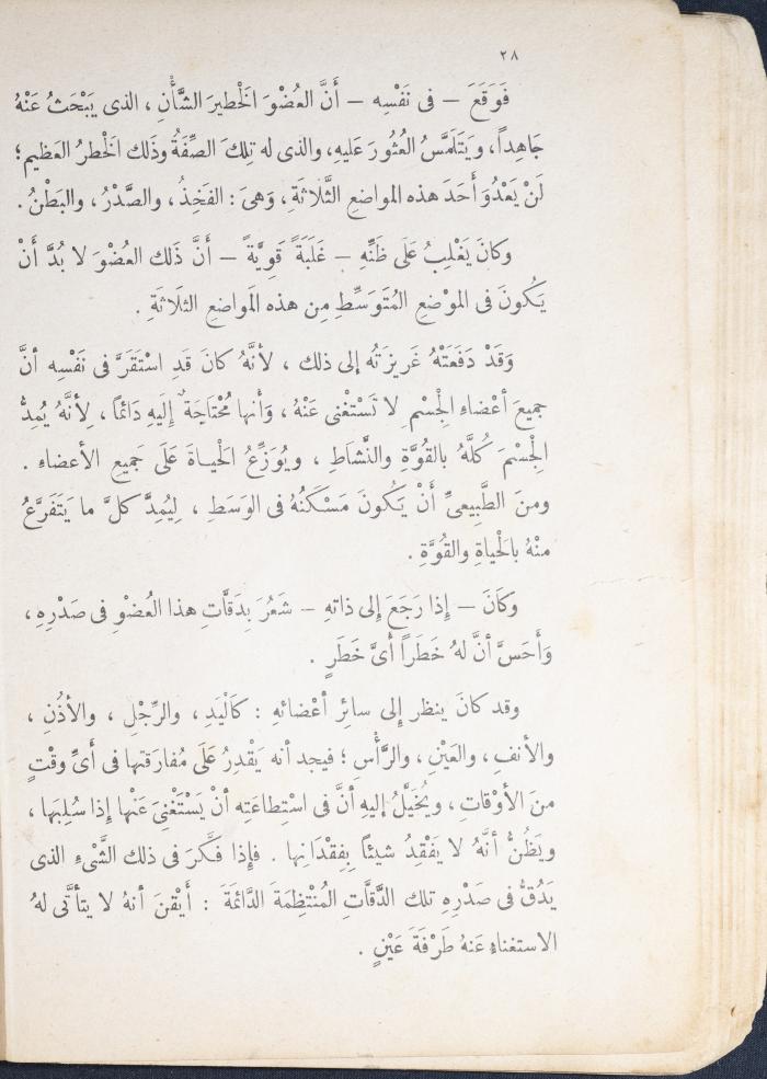 Part of the Novel 