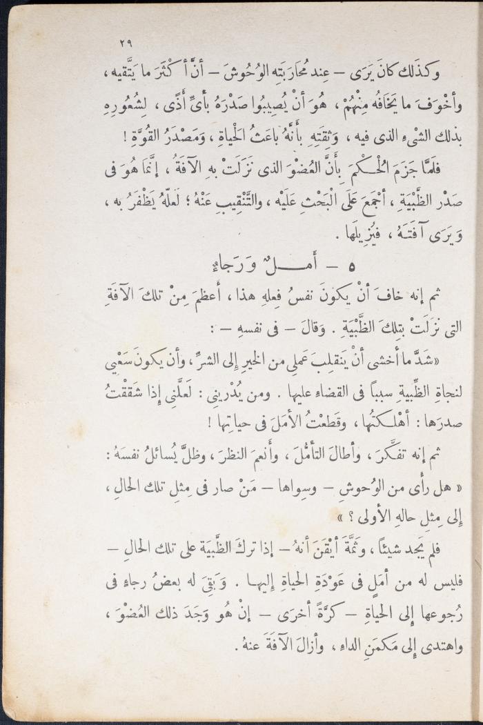 Part of the Novel 