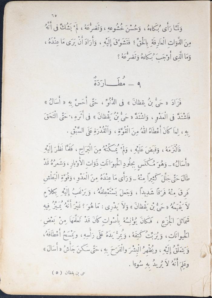 Part of the Novel 