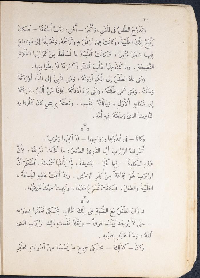 Part of the Novel 