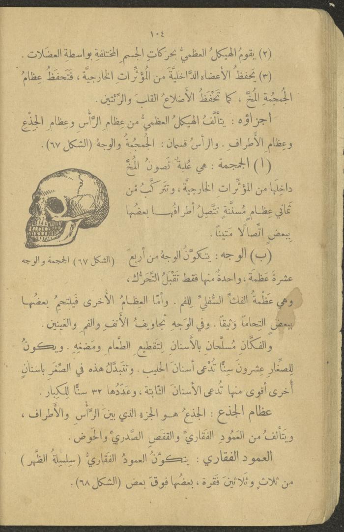 Biology Book, the 1920s and 1940s