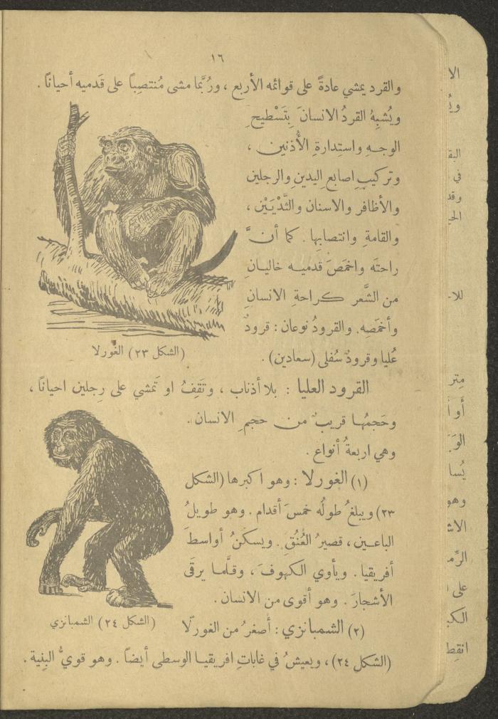Biology Book, the 1920s and 1940s