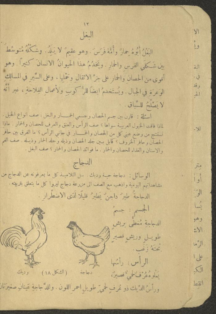 Biology Book, the 1920s and 1940s