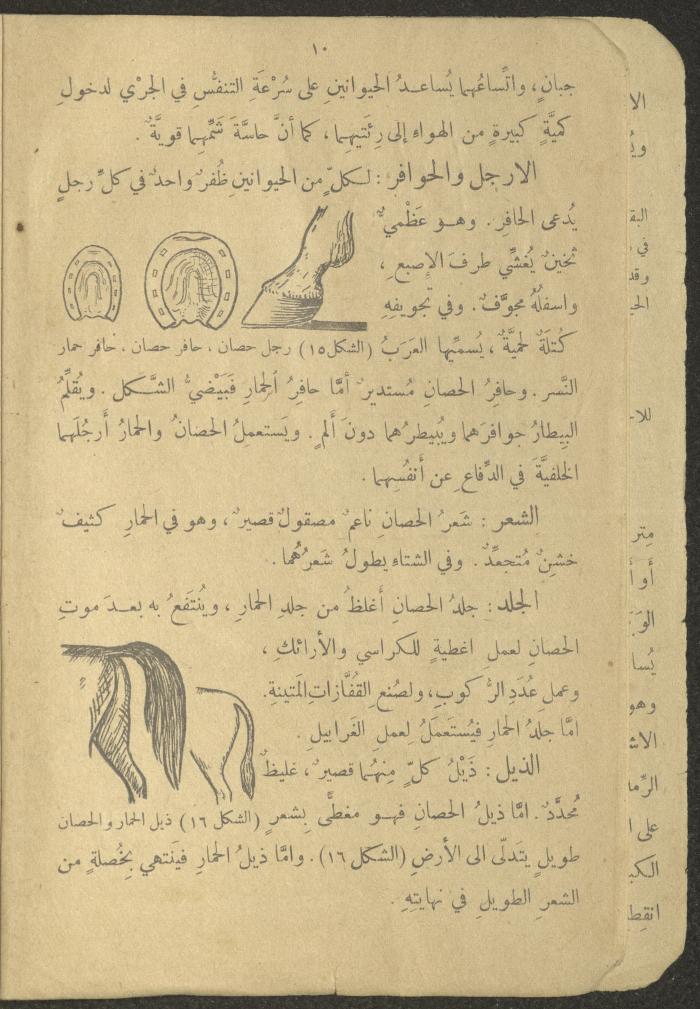 Biology Book, the 1920s and 1940s