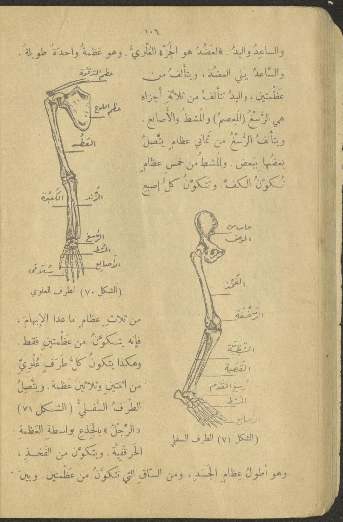 Biology Book, the 1920s and 1940s