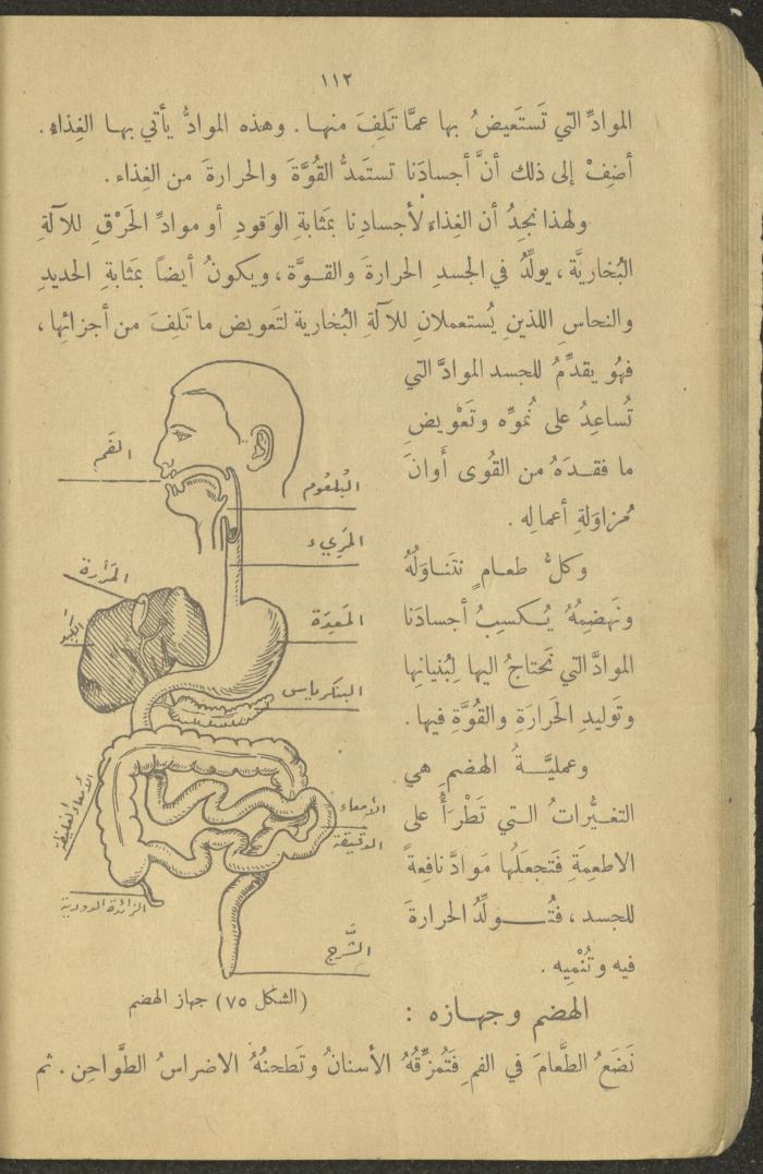 Biology Book, the 1920s and 1940s