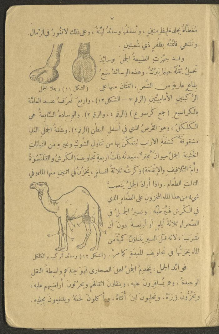 Biology Book, the 1920s and 1940s
