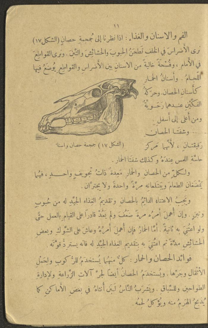 Biology Book, the 1920s and 1940s
