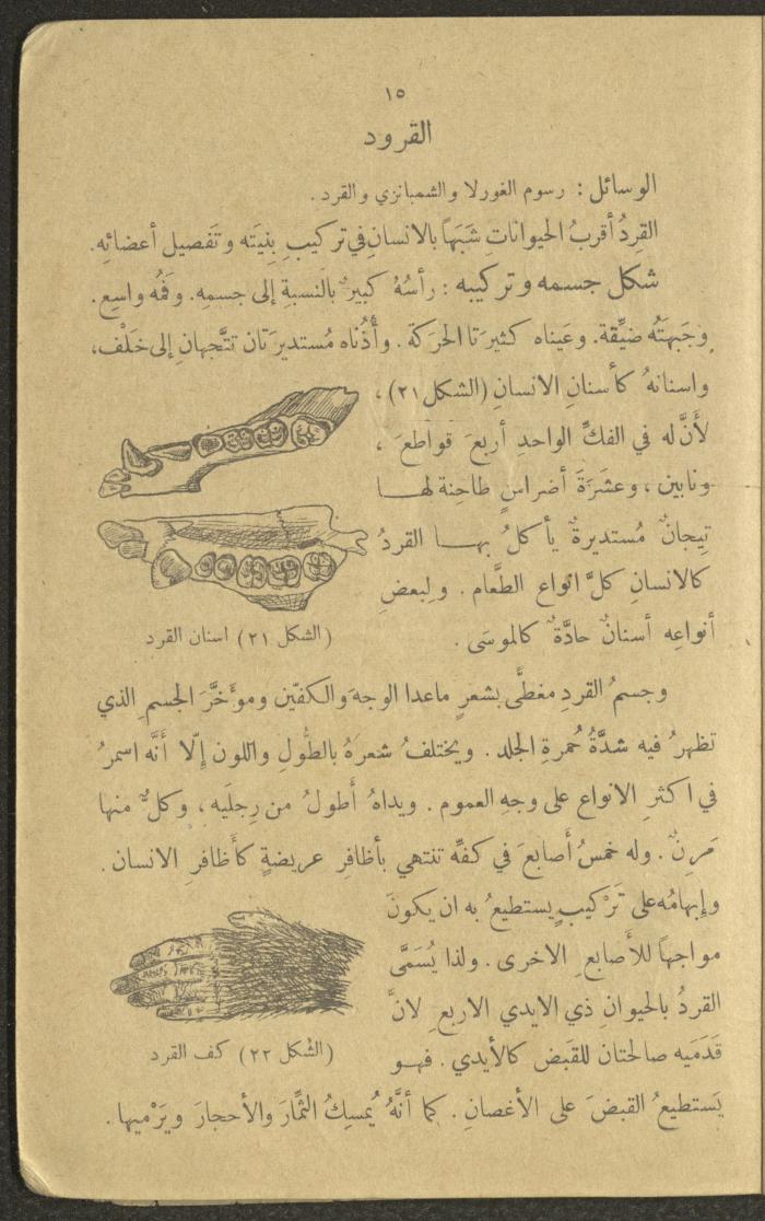 Biology Book, the 1920s and 1940s