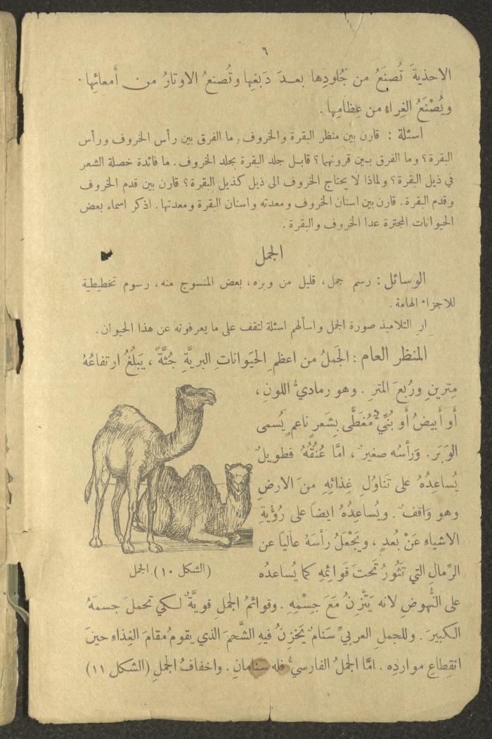 Biology Book, the 1920s and 1940s