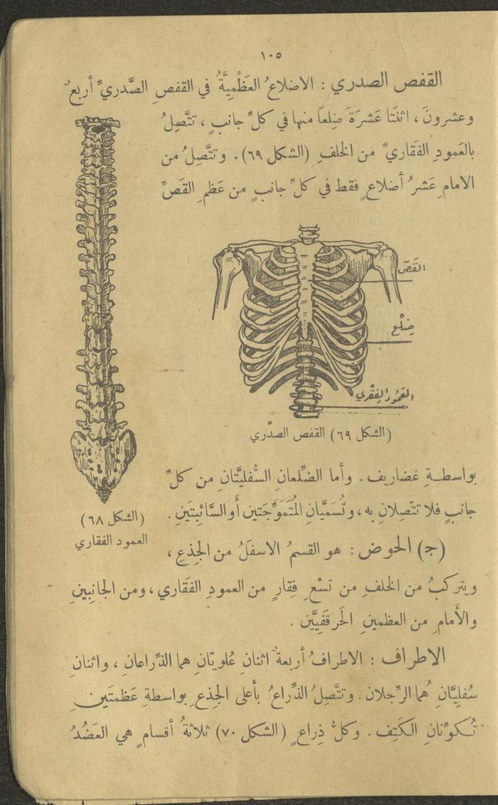 Biology Book, the 1920s and 1940s