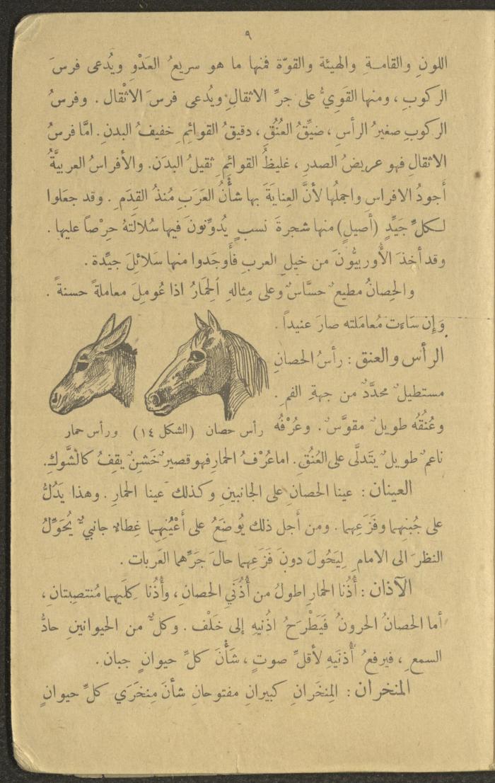 Biology Book, the 1920s and 1940s