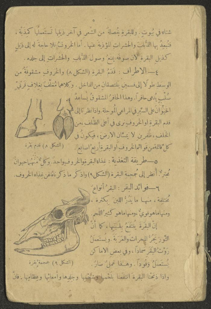 Biology Book, the 1920s and 1940s